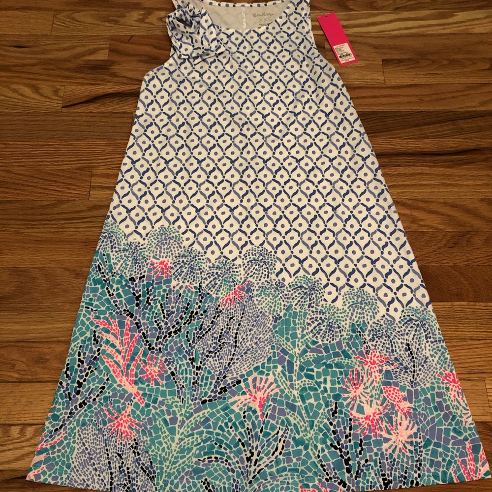 Lilly Pulitzer XXS luella dress NWT